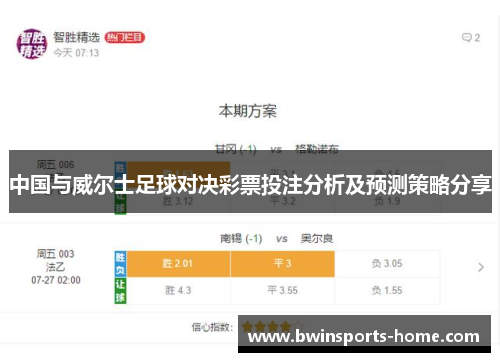 中国与威尔士足球对决彩票投注分析及预测策略分享